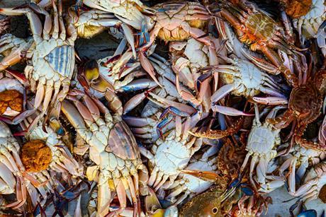 pexels-manojmk-brucelee-743756295-32987803