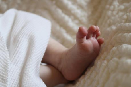 pexels-inspired2love-36828153