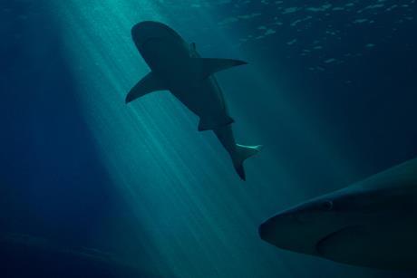 pexels-rockwell-branding-agency-85164430-8910272