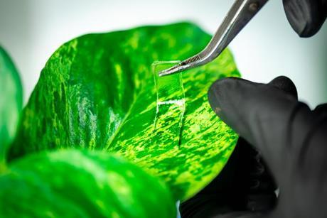 Low-Res_UCSD-JacobsSchool-2604-Steinmetz-gel-04042-8MP