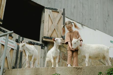 pexels-anastasia-shuraeva-7673842