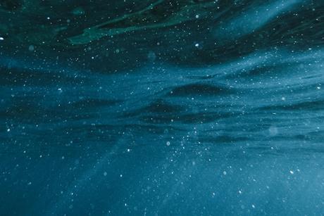 pexels-davidboca-5466507