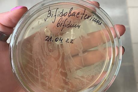 Bifidobacterium_bifidum,_рост_в_чашках