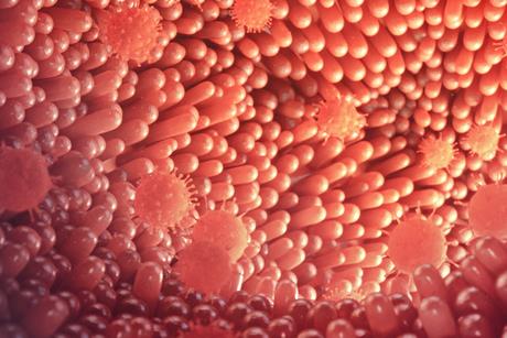 AMI_Journals_Key_Journal_Image_JAM