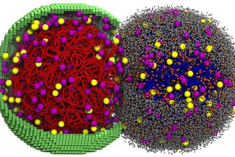 Low-Res_cr-half-half_ribopart_dnabd-ptns-rnas-m