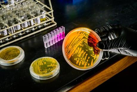 Low-Res_Qin_Wei-260211-fz-002