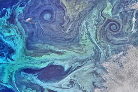 NASA_satellite_view_of_Southern_Ocean_phytoplankton_bloom_(crop)
