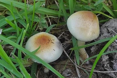 Low-Res_Talan Moult_3