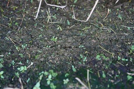 Low-Res_carbondecayvaries