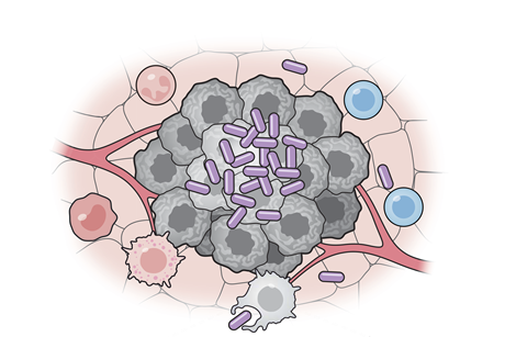 bacterialvax