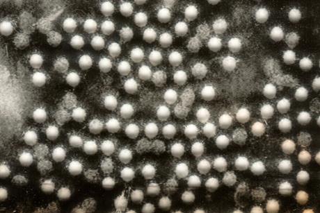 Polioviruses