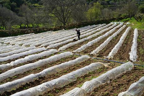 pexels-cemil-gokmen-2157816670-34977058