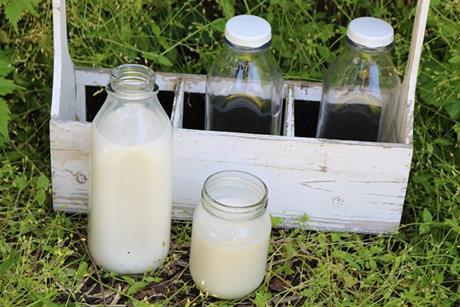 Raw_Milk_in_containers_and_carrier