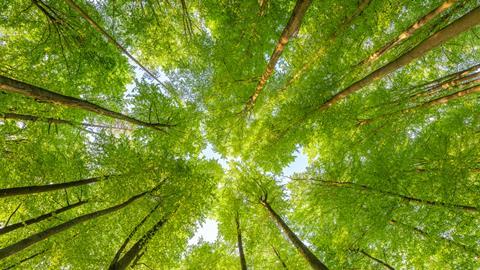 iStock-1659684092 (1)