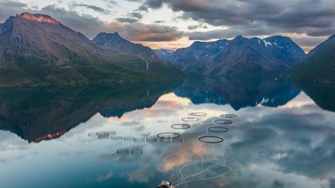 Fish_farming_on_Øksfjorden_in_Loppa,_Troms_og_Finnmark,_Norway,_2022_August