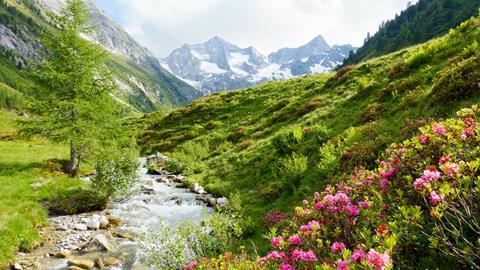 iStock-515856010