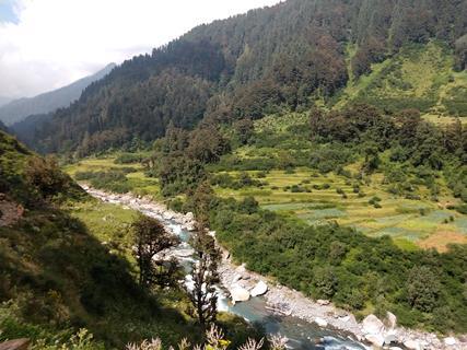 Agricuture Field of Hiamalayan Region