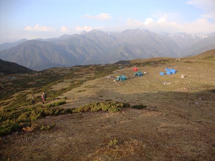 Alpine region