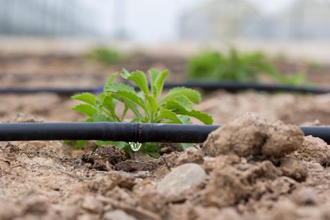 Irrigation