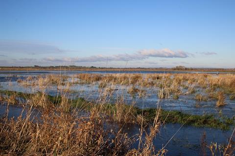 Waterlogged field