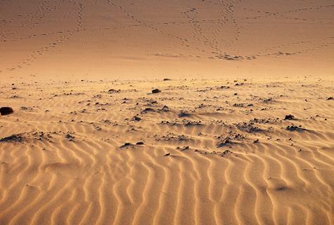 desert-6578359_1920