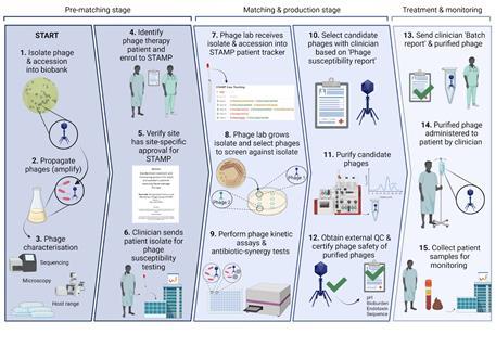 A snapshot of Phage Australia’s process