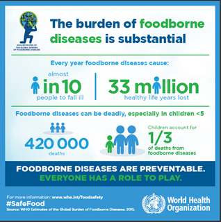 Burden of foodborne diseases
