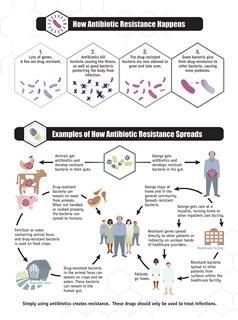 How Antibiotic Resistance Spreads