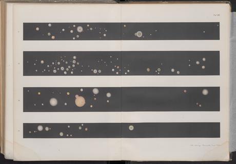 Walther Hesse (1884) - Lina Hesse - Tafel XIII (Bilder 11-15)