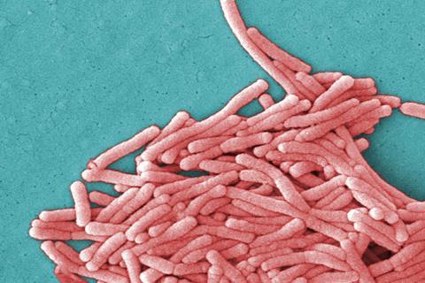 Legionella_pneumophila_(SEM)