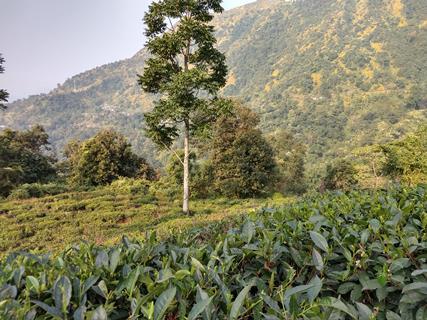 IMG_20191121_083147375_HDR