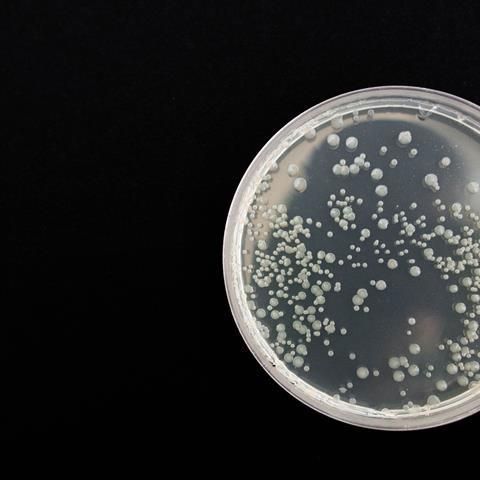 bacteria-359956_1920