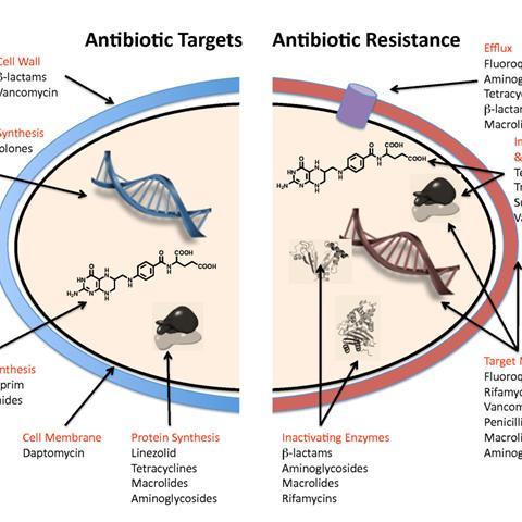 Antibiotic Resistance Mechanisms