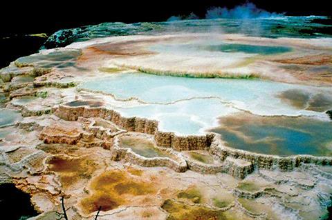 MAMMOTH_HOT_SPRINGS_-_EXTREMOPHILES