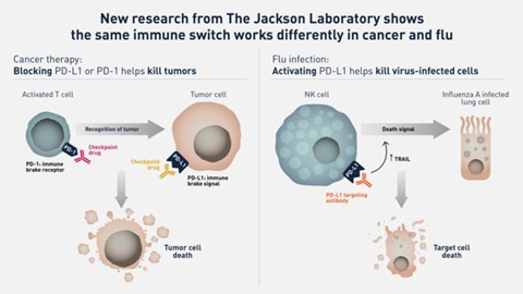 Low-Res_2026_PR_Paust_v3