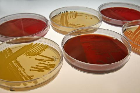 DSMZ_Petri_dishes