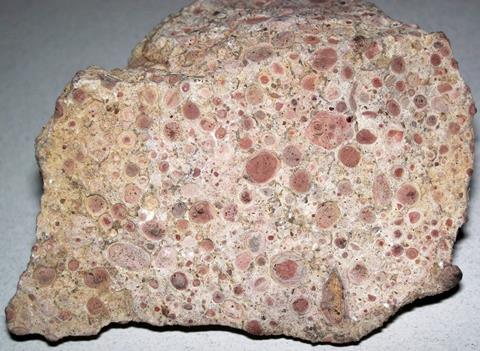 2946px-Oncolitic_limestone_(central_Utah,_USA)_3