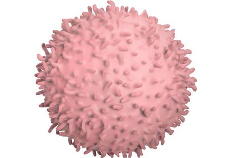 Low-Res_1.21+fragments_hero