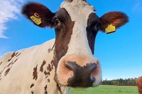 Low-Res_Viikin_tutkimustila_Asukas_LoveMarie