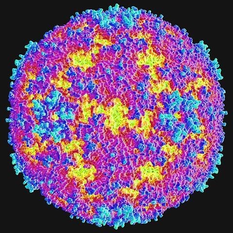 Enterovirus_71_(8405362662)