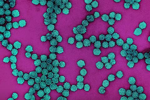 Colorized_electron_micrograph_of_HPV_virus_particles_(teal)