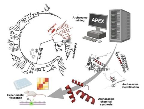 Low-Res_Identification of Archaeasins