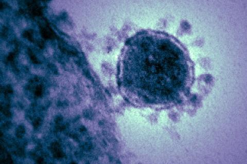 Middle_East_respiratory_syndrome-related_coronavirus