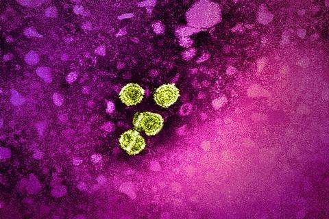 Hepatitis_B_Virus_(52451626575)