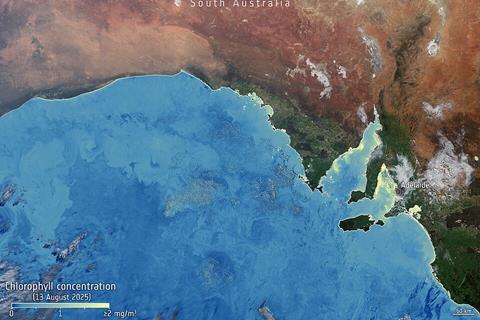 Algae_bloom_chlorophyll_South_Australia_ESA512113
