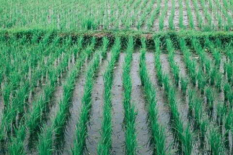 pexels-orlovamaria-4913526 (1)