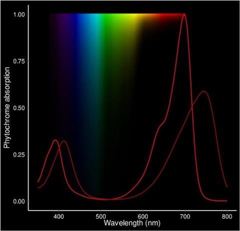 Low-Res_PHYSpectra_plot_80