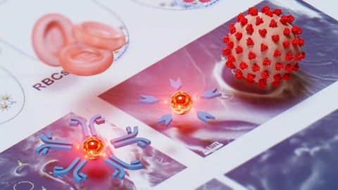 Low-Res_wang-gold-nanoparticle-ASU