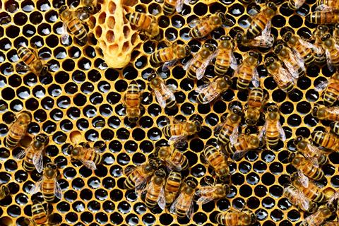 pexels-pixabay-56876