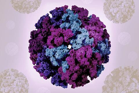 3D_renderings_of_chikungunya_virus-like_particles_(VLPs)_-_2